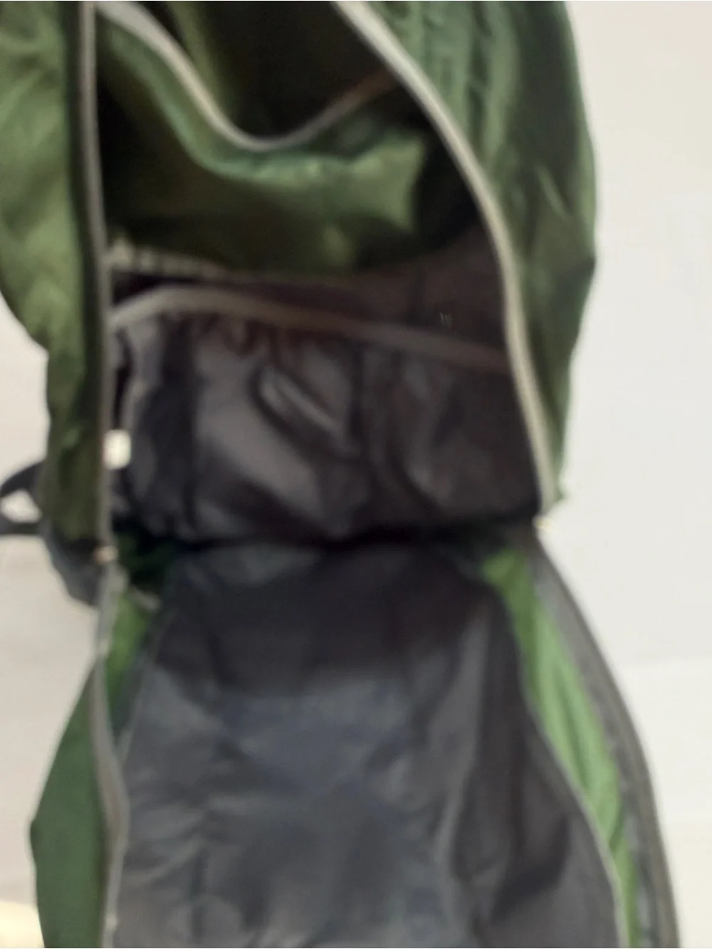 Travelon Green Backpack with Gray Accents